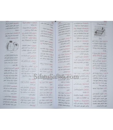 Mu'jam al-Wajiz - Al-Wajiz Dictionary for Beginners  المعجم الوجيز