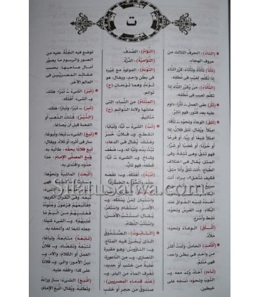 Mu'jam al-Wajiz - Al-Wajiz Dictionary for Beginners  المعجم الوجيز