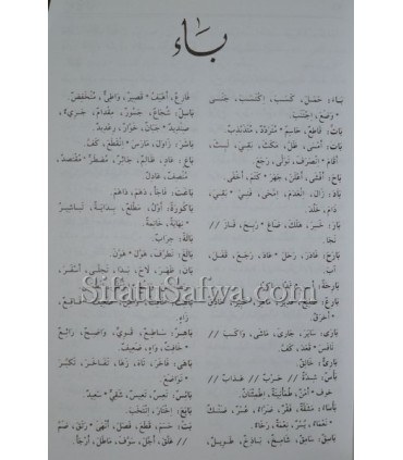 Dictionnaire de poche des Synonymes et Antonymes  معجم الجيب للمرادفات والأضداد
