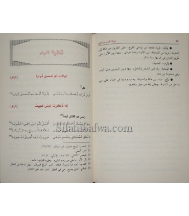 Diwan Qays ibn Dhurayh (Qays wa Lubna)  ديوان قيس بن ذريح - قيس لبنى
