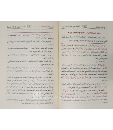 Explication des 3 Fondements par cheikh al-Fawzan  شرح الأصول الثلاثة - الشيخ الفوزان