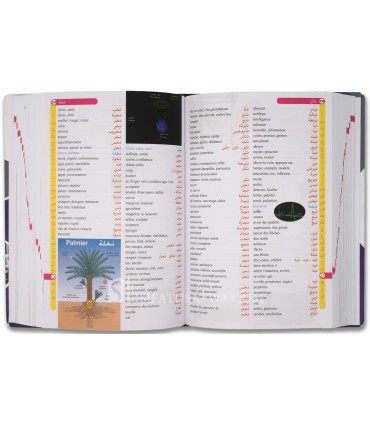 Dictionnaire Illustré Francais-Arabe / Arabe-Francais  قاموس الدليل المدرسي الجديد المصور - فرنسي - عربي - عربي - فرنسي