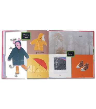 My first illustrated dictionary: The Seasons  كلماتي المصورة : الفصول