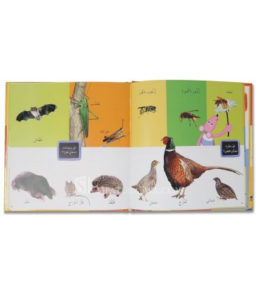 My first illustrated dictionary: The Animals  كلماتي المصورة : الحيوانات
