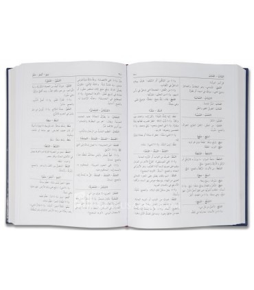 A Complete Homonym Dictionary 'Al-Kafi' - Arabic-Arabic  المعجم الكافي لبيان الدلالات اللفظية على المتشابهات - عربي - عربي