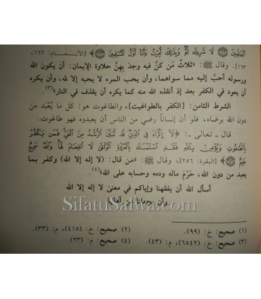 Al-Aqeeda Awwalan law Kanu Ya'lamun - 4 volumes  العقيدة أولاً لو كانو يعلمون - الألباني