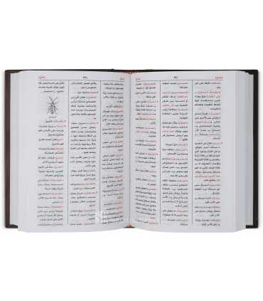 Mu'jam al-Wajiz - Al-Wajiz Dictionary for Beginners  المعجم الوجيز