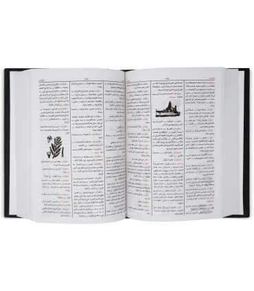 Dictionnaire al-Wassit - arabe/arabe  المعجم الوسيط