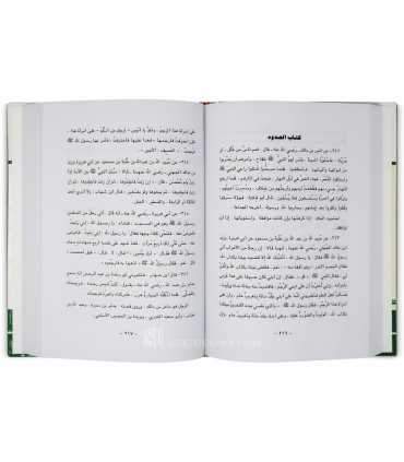 Majmu' al-Hadith an-Najdiyyah - مجموعة الحديث النجدية