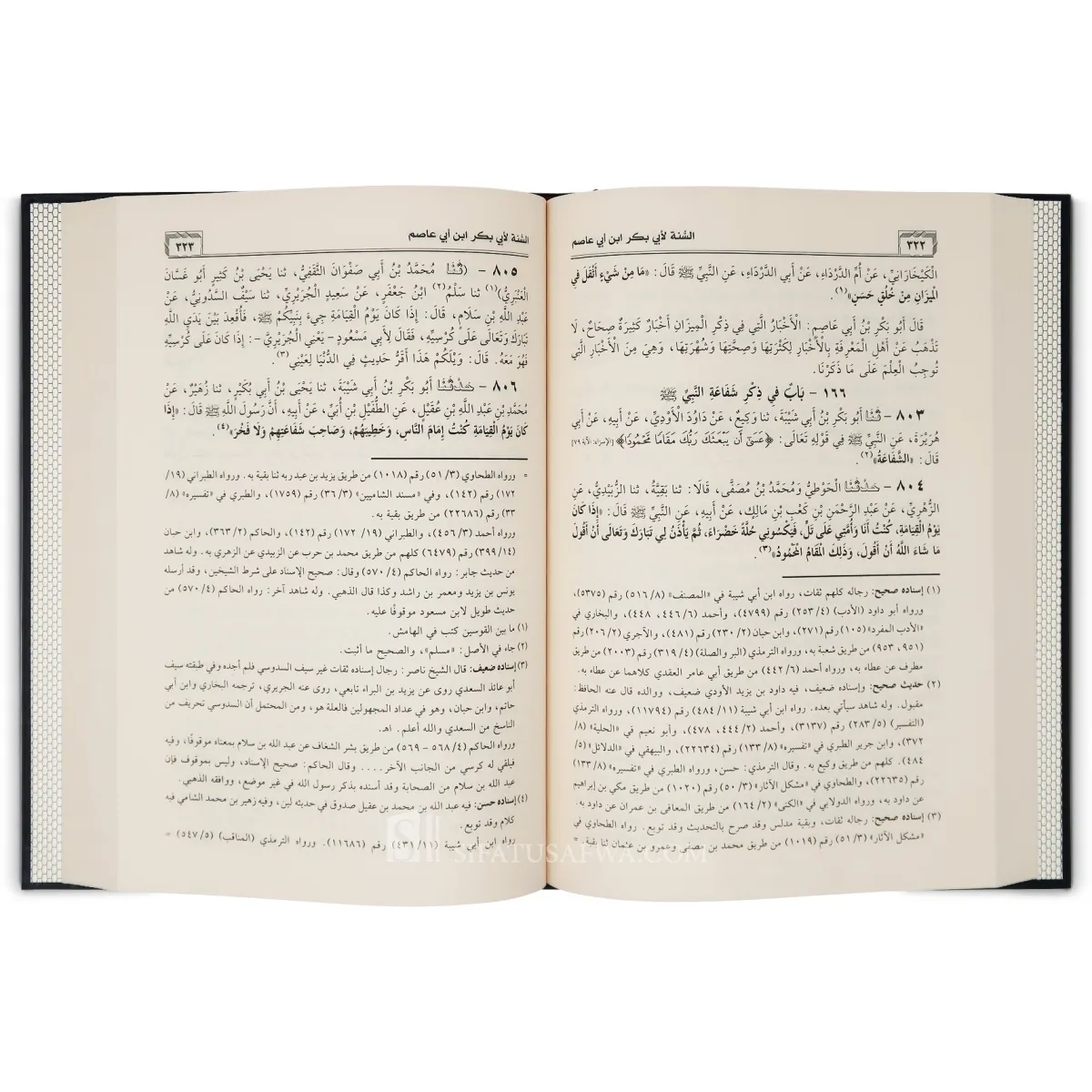 كتاب السنة لابن أبي عاصم