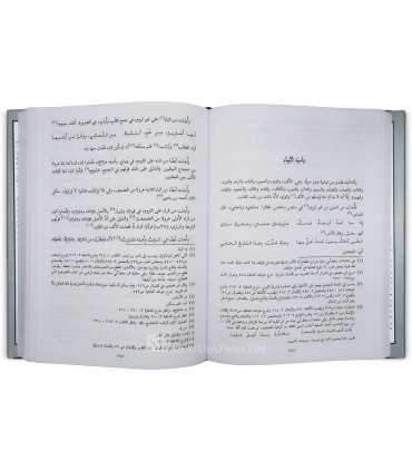 Al-Moumti' al-Kabir fi at-Tasrif - Ibn 'Ousfour Al-Ichbili (669H)  الممتع الكبير في التصريف - ابن عصفور الإشبيلي
