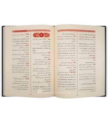 Al-Mu'jam ad-Dakhil - Dictionnaire des mots étrangers introduits en Arabe معجم الدخيل في اللغة العربية - الدكتور ف. عبد الرحيم