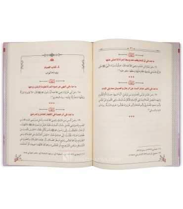Ahaadeeth an-Nisaa - 224 Hadith specific to women  أحاديث النساء - تحتوي على 224 حديثا مما يخص النساء