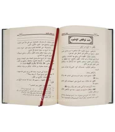 Ash-Sharh al-Mumti' ala Zad al-Mustaqni' - Al-'Uthaymeen  الشرح الممتع على زاد المستقنع ـ العلامة ابن العثيمين