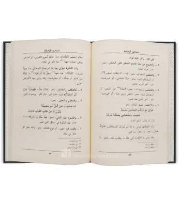 Dourous al-Balaghah  دروس البلاغة لحفني ناصف وزملائه