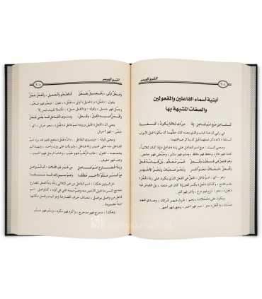 L'Arabe Simplifié : Pack de 3 explications (Ajrumiya, Alfiat, Balagha)  الشرح الميسر على ألفية ابن مالك