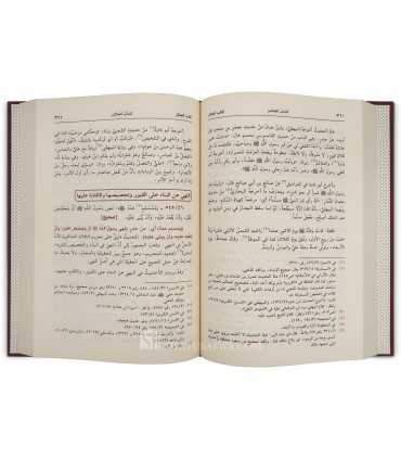 Subul as-Salaam : sharh Buloogh al-Maraam (As-San'ani)  سبل السلام شرح بلوغ المرام ـ الإمام الصنعاني