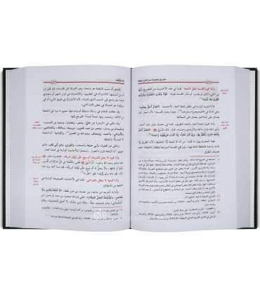 Ad-Darari al-Madiya charh ad-Durar al-Bahiya - Chawkani  الدراري المضية شرح الدرر البهية في المسائل الفقهية - الشوكاني
