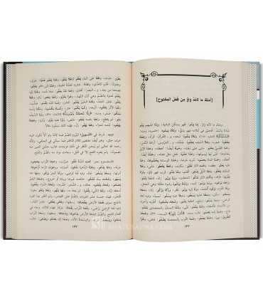 Fath al-Aqfal - Sharh al-Kabir of Lamiyat al-Af'al  فتح الأقفال وحل الإشكال بشرح لامية الأفعال