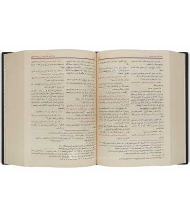Mizan al-I'tidal fi Naqd ar-Rijal - Dhahabi ('Ilm Jarh wa Ta'dil)  ميزان الاعتدال في نقد الرجال - الحافظ الذهبي