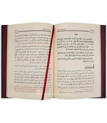 Charh Loum'at oul-I'tiqaad - Saleh Aal Cheikh  شرح لمعة الاعتقاد لابن قدامة المقدسي ـ الشيخ صالح آل الشيخ
