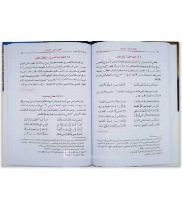 Diwan al-Adab fi Nawadir Chou'ara al-'Arab - Nassim al-Huwl  ديوان الأدب في نوادر شعراء العرب - نسيم الحلو
