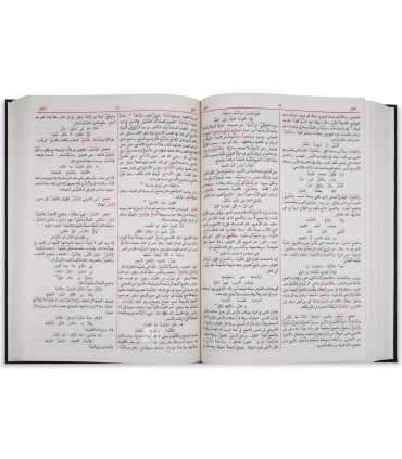 Lisan al-'Arab de ibn Mandhour  لسان العرب للإمام ابن منظور
