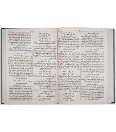 Lisan al-'Arab de ibn Mandhour  لسان العرب للإمام ابن منظور