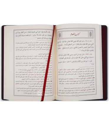 Mukhtasar Sahih al-Bukhary - Ibn Abi Jamrah (675H)  مختصر صحيح البخاري لابن أبي جمرة