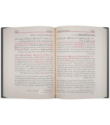 Dalil al-Falihin li Turuq Riyad as-Salihin de Ibn ‘Illan al-Shafi’i دليل الفالحين لطرق رياض الصالحين - ابن علان الصديقى