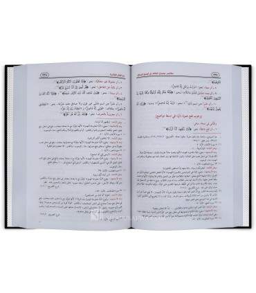 Awdah al-Masalik ila Alfiat ibn Malik by ibn Hisham (with Annotations)  أوضح المسالك إلى ألفية ابن مالك - ابن هشام الأنصاري
