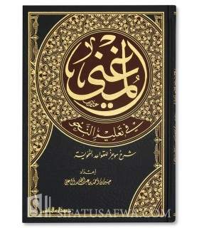 Al-Mughni fi Ta'lim an-Nahw - المغني في تعليم النحو - شرح موجز للقواعد النحوية