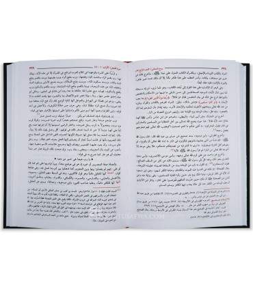 Ruh al-Ma'ani - Tafsir al-Imam al-Alusi (1270H)  روح المعاني في تفسير القرأن العظيم والسبع المثاني - الآلوسي