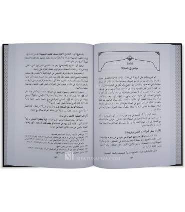 Ath-Thamar ad-Dani sharh Risalah ibn Abi Zayd al-Qayrawani الثمر الداني شرح رسالة ابن أبي زيد القيرواني
