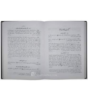 Moukhtasar Sahih Mouslim - Tahqiq Al-Albani (Grand format)  مختصر صحيح مسلم للإمام المنذر - تحقيق الألباني