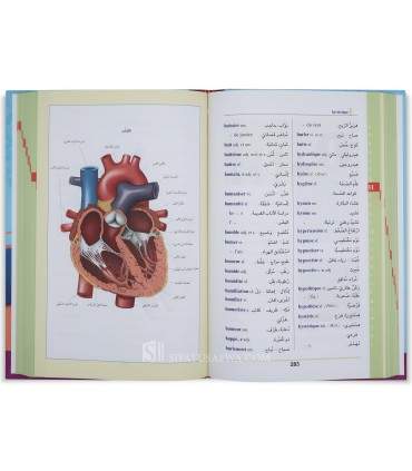 Abdelnour Scolaire - Dictionnaire Français - Arabe  معجم عبد النور المدرسي المصور: فرنسي - عربي