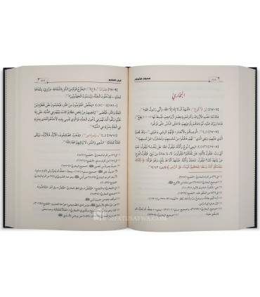 Misbah as-Sihah (Jam' bayna Sahih Bukhari wa Muslim) - Ibn Al-Barzi  مصباح الصحاح لابن البارزي