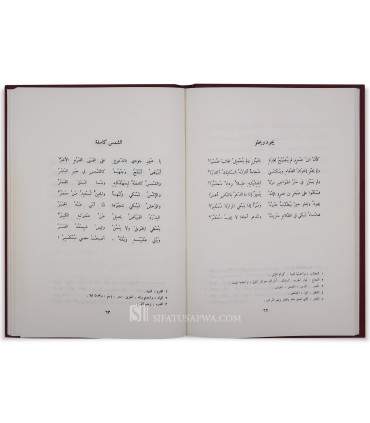 Diwan al-Khansa  ديوان الخنساء