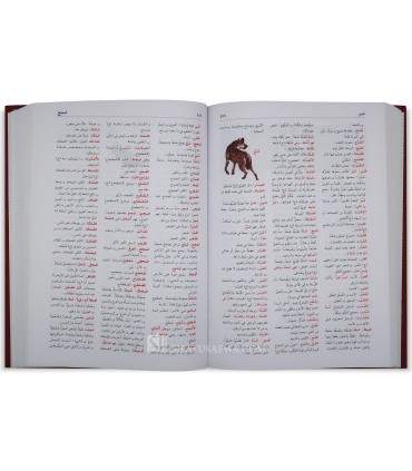 Mu'jam an-Nafaes al-Madrassi - 1 volume  معجم النفائس المدرسي