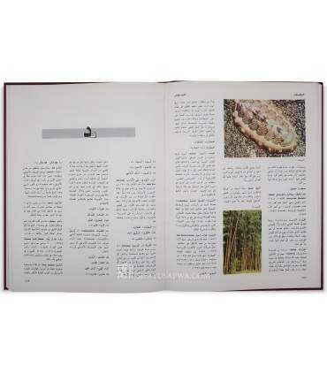 Mawsu'ah al-Mawrid al-'Arabiyah - Arabic Encyclopedia al-Mawrid  موسوعة الموارد العربية