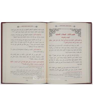 Al-Wajiz fi Dhikr Sifat Rabbana al-Qawwi al-'Aziz - Mahir Muqaddam - الوجيز في ذكر صفات ربنا ال قوي العزيز - ماهر عبدالحميد مقدم