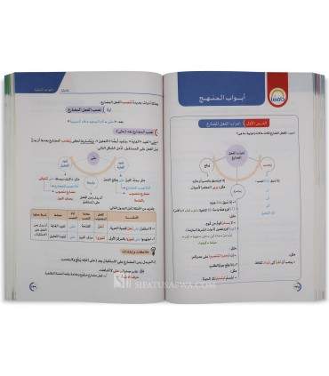 High School Arabic Program - Level 2 - برنامج الأضواء اللغة العربية في المرحلة الثانوية - الصف الثانوي الثاني