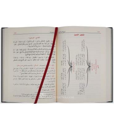 Charh Choudhour ad-Dhahab d'Ibn Hicham - Annotations, Schémas, Harakat - شرح شذور الذهب لابن هشام