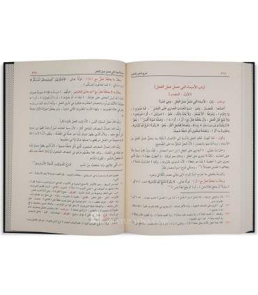 Charh Choudhour ad-Dhahab d'Ibn Hicham - Annotations, Schémas, Harakat - شرح شذور الذهب لابن هشام