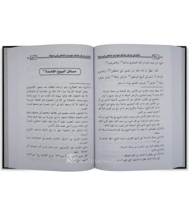 النكت في المسائل المختلف فيها بين الشافعي وأبي حنيفة - الإمام أبو إسحاق الشيرازي