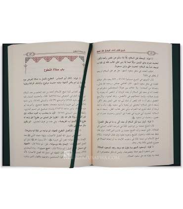 Sharh Shurut Salat + Adab al-Machi ila Salat - Al-'Abbad شرح شروط الصلاة وشرح آداب المشي إلى الصلاة ـ عبد المحسن العباد