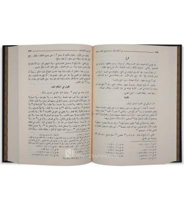 Al-Ashbaahu wan-Nadhaair - As-Suyuti (Fiqh & Usul Shafi'i)   الأشباه والنظائر في قواعد وفروع فقه الشافعية - الإمام السيوطي
