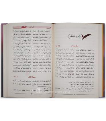 Diwan Al-'Asha al-Akbar (Maymun ibn Qays)  ديوان الأعشى الأكبر - ميمون بن قيس
