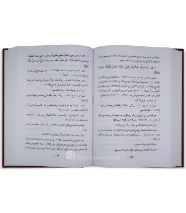 Silsilah al-aHadith ad-Da'ifah by shaykh al Albani (20 volumes) - سلسلة الأحاديث الضعيفة ـ الشيخ الألباني