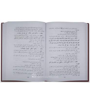 Silsilah al-aHadith ad-Da'ifah by shaykh al Albani (20 volumes) - سلسلة الأحاديث الضعيفة ـ الشيخ الألباني